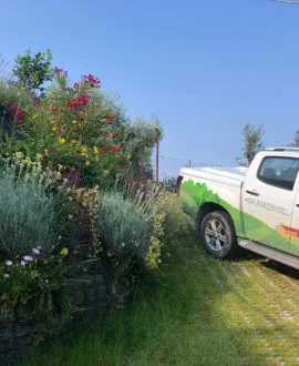 Terre Armate a Verona: Stabilità e Eleganza nel Tuo Giardino