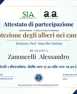 Tree climbing, potature e abbattimenti