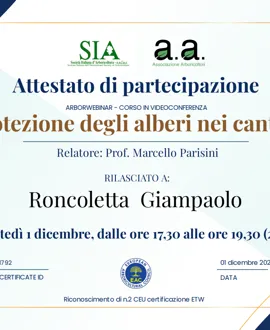 Tree climbing, potature e abbattimenti