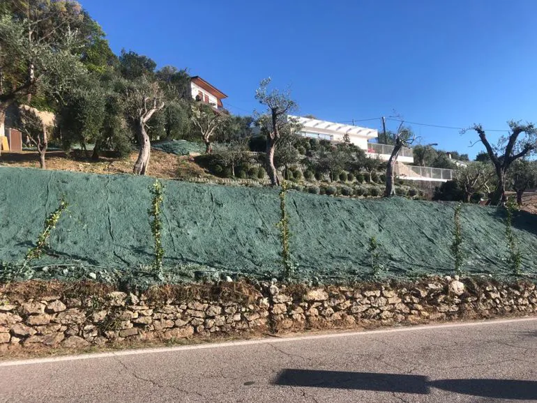 Consolidamenti e idrosemina a Verona e sul Lago di Garda