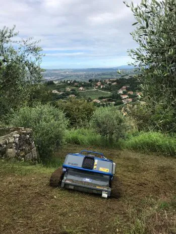 Robot taglia-erba