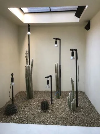Realizzazione di vasi e fioriere
