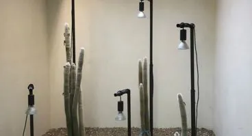 Realizzazione di vasi e fioriere 