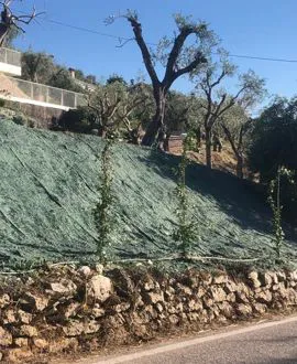Terre armate, consolidamenti, idrosemina e staccionate