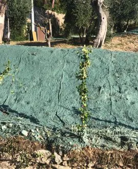 Terre armate, consolidamenti, idrosemina e staccionate