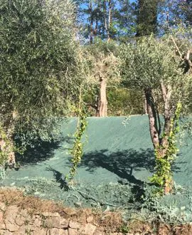 Terre armate, consolidamenti, idrosemina e staccionate