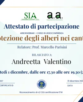 Tree climbing, potature e abbattimenti
