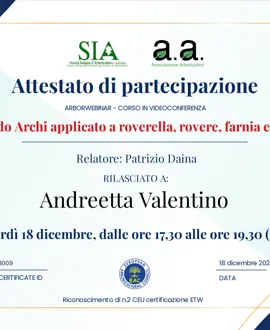 Tree climbing, potature e abbattimenti