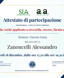 Tree climbing, potature e abbattimenti