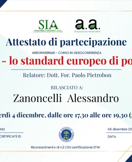 Tree climbing, potature e abbattimenti