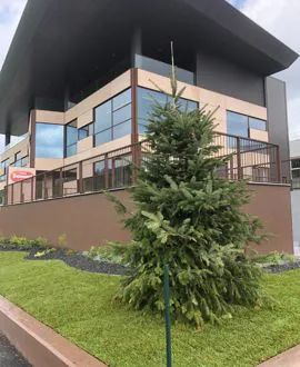 Verde aziendale e urbanizzazione primaria