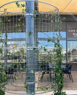 Realizzazione verde aziendale  per supermercati a Verona 
