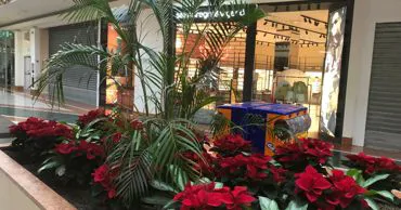 Centro commerciale