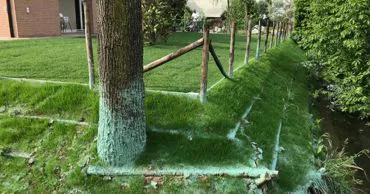 Terre armate 