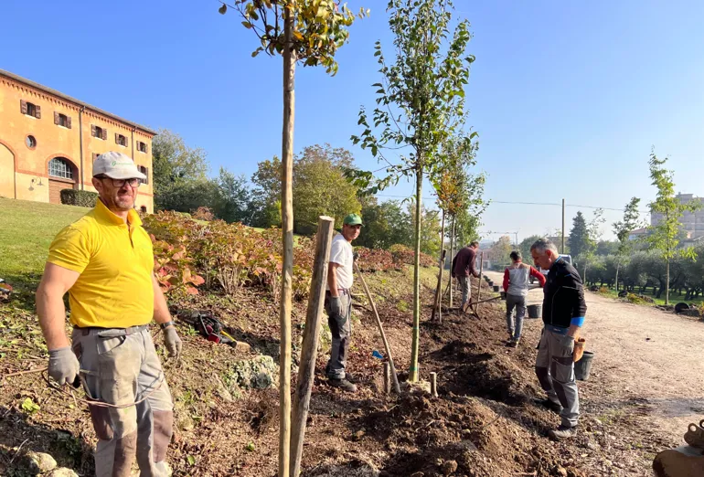 Manutenzione di ville e parchi a Verona